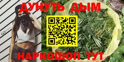 сатива Краснодар