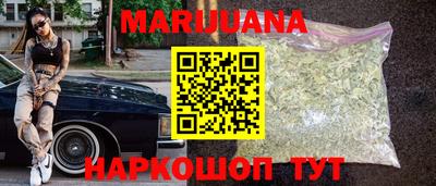 сатива Краснодар