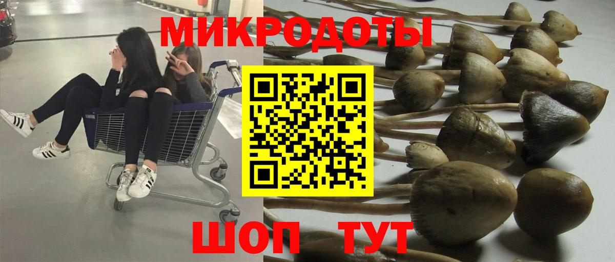 Зеленодольск  Псилоцибиновые грибы мицелий  Вход с VPN 